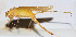  ( - 201509-10D)  @12 [ ] CreativeCommons - Attribution (2010) Zhi-Jun Zhou Centre for Biodiversity Genomics