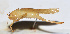  ( - 201509-11D)  @12 [ ] CreativeCommons - Attribution (2010) Zhi-Jun Zhou Centre for Biodiversity Genomics