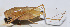  ( - 201509-1B)  @12 [ ] CreativeCommons - Attribution (2010) Zhi-Jun Zhou Centre for Biodiversity Genomics