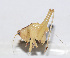  ( - 20150914024)  @13 [ ] CreativeCommons - Attribution (2010) Zhi-Jun Zhou Centre for Biodiversity Genomics