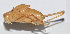  ( - 20150914095)  @12 [ ] CreativeCommons - Attribution (2010) Zhi-Jun Zhou Centre for Biodiversity Genomics