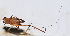  ( - 201510-3A)  @12 [ ] CreativeCommons - Attribution (2010) Zhi-Jun Zhou Centre for Biodiversity Genomics