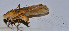  ( - 201512-12C)  @12 [ ] CreativeCommons - Attribution (2010) Zhi-Jun Zhou Centre for Biodiversity Genomics