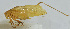  ( - 201512-7A)  @12 [ ] CreativeCommons - Attribution (2010) Zhi-Jun Zhou Centre for Biodiversity Genomics