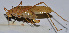  ( - 201512-8E)  @12 [ ] CreativeCommons - Attribution (2010) Zhi-Jun Zhou Centre for Biodiversity Genomics