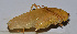  ( - 201512-8H)  @12 [ ] CreativeCommons - Attribution (2010) Zhi-Jun Zhou Centre for Biodiversity Genomics