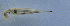  ( - 201601-10D)  @12 [ ] CreativeCommons - Attribution (2010) Zhi-Jun Zhou Centre for Biodiversity Genomics