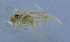  ( - 201601-6E)  @12 [ ] CreativeCommons - Attribution (2010) Zhi-Jun Zhou Centre for Biodiversity Genomics