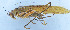  ( - 201602-10D)  @13 [ ] CreativeCommons - Attribution (2010) Zhi-Jun Zhou Centre for Biodiversity Genomics