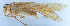  ( - 201603-10F)  @13 [ ] CreativeCommons - Attribution (2010) Zhi-Jun Zhou Centre for Biodiversity Genomics