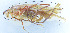  ( - 201603-11F)  @13 [ ] CreativeCommons - Attribution (2010) Zhi-Jun Zhou Centre for Biodiversity Genomics