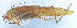  ( - 201603-2F)  @13 [ ] CreativeCommons - Attribution (2010) Zhi-Jun Zhou Centre for Biodiversity Genomics