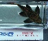  ( - JMK-005)  @12 [ ] Unspecified (default): All Rights Reserved  Unspecified Unspecified