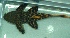  ( - JMK-008)  @12 [ ] Unspecified (default): All Rights Reserved  Unspecified Unspecified