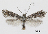  ( - CCDB-46114-A11)  @11 [ ] CC-BY-NC-SA (2024) Steven Whitebread private