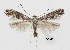  ( - CCDB-46114-A12)  @11 [ ] CC-BY-NC-SA (2024) Steven Whitebread private