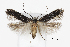  ( - CCDB-46114-E01)  @11 [ ] CC-BY-NC-SA (2024) Steven Whitebread private