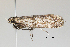  ( - CCDB-46114-E02)  @11 [ ] CC-BY-NC-SA (2024) Steven Whitebread private