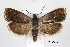  ( - CCDB-46114-E07)  @11 [ ] CC-BY-NC-SA (2024) Steven Whitebread private