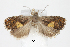  ( - CCDB-46114-E08)  @11 [ ] CC-BY-NC-SA (2024) Steven Whitebread private