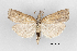  ( - CCDB-46114-G04)  @11 [ ] CC-BY-NC-SA (2024) Steven Whitebread private