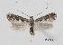  ( - CCDB-46115-C04)  @11 [ ] CC-BY (2023) Steven Whitebread private