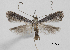  ( - CCDB-46115-C08)  @11 [ ] CC-BY (2023) Steven Whitebread private
