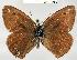  ( - CSG13465 NE BC)  @13 [ ] Unspecified (default): All Rights Reserved  Unspecified Unspecified