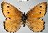  ( - CSG15793 VI BC)  @14 [ ] Unspecified (default): All Rights Reserved  Unspecified Unspecified