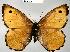 ( - CSG20041 SC BC)  @14 [ ] Unspecified (default): All Rights Reserved  Unspecified Unspecified