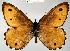  ( - CSG20044 SC BC)  @15 [ ] Unspecified (default): All Rights Reserved  Unspecified Unspecified