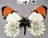  ( - CSG21298 C BC)  @13 [ ] Unspecified (default): All Rights Reserved  Unspecified Unspecified