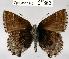  ( - CSG21363 NE BC)  @12 [ ] Unspecified (default): All Rights Reserved  Unspecified Unspecified