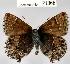  ( - CSG21366 NE BC)  @12 [ ] Unspecified (default): All Rights Reserved  Unspecified Unspecified