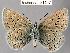  ( - CSG21407 NE BC)  @13 [ ] Unspecified (default): All Rights Reserved  Unspecified Unspecified