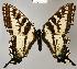  ( - CSG21557 NE BC)  @15 [ ] Unspecified (default): All Rights Reserved  Unspecified Unspecified