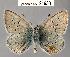  ( - CSG21630 NE BC)  @13 [ ] Unspecified (default): All Rights Reserved  Unspecified Unspecified