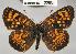  ( - CSG22631 C BC)  @13 [ ] Unspecified (default): All Rights Reserved  Unspecified Unspecified