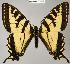  ( - CSG22655 C BC)  @14 [ ] Unspecified (default): All Rights Reserved  Unspecified Unspecified