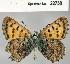  ( - CSG22738 C BC)  @13 [ ] Unspecified (default): All Rights Reserved  Unspecified Unspecified