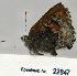  ( - CSG22847 C BC)  @12 [ ] Unspecified (default): All Rights Reserved  Unspecified Unspecified