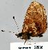  ( - CSG22936 CA WA)  @12 [ ] Unspecified (default): All Rights Reserved  Unspecified Unspecified