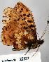  ( - CSG22937 CA WA)  @12 [ ] Unspecified (default): All Rights Reserved  Unspecified Unspecified