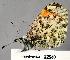  ( - CSG22940 CA WA)  @12 [ ] Unspecified (default): All Rights Reserved  Unspecified Unspecified
