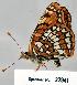  ( - CSG22941 CA WA)  @12 [ ] Unspecified (default): All Rights Reserved  Unspecified Unspecified