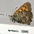  ( - CSG22980 CA WA)  @13 [ ] Unspecified (default): All Rights Reserved  Unspecified Unspecified