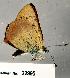  ( - CSG22995 CA WA)  @13 [ ] Unspecified (default): All Rights Reserved  Unspecified Unspecified