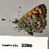  ( - CSG22999 CA WA)  @13 [ ] Unspecified (default): All Rights Reserved  Unspecified Unspecified