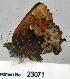  ( - CSG23071 MD)  @12 [ ] Unspecified (default): All Rights Reserved  Unspecified Unspecified