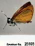  ( - CSG23103 NS)  @12 [ ] Unspecified (default): All Rights Reserved  Unspecified Unspecified